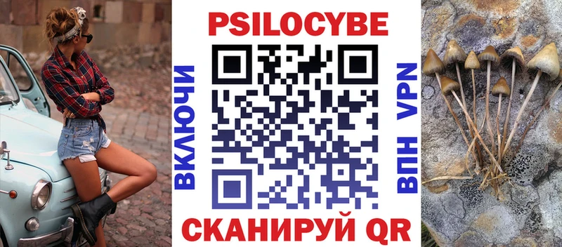 Купить где  Сердобск  Псилоцибиновые грибы Psilocybine cubensis 